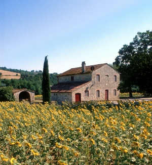 Farm Home 4 stelle in Orvieto Orvieto - Podere Ponticello