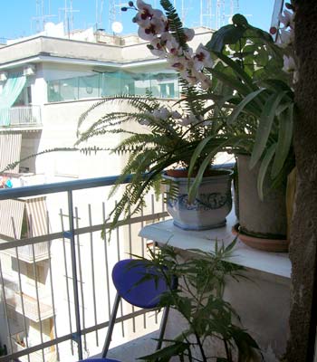 Bed and breakfast  in Roma Aurelio e Monteverde - Abruzzese