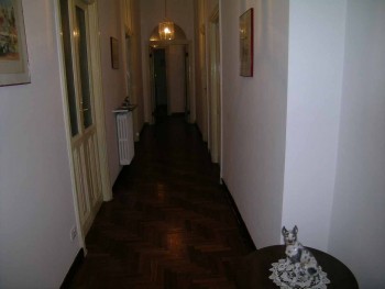 Bed and breakfast  in Roma Prati - Appa e Rudy