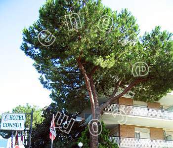 Hotel 3 stelle in Roma Aurelio e Monteverde - Consul