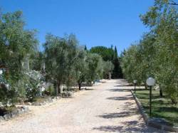 Hotel 3 stelle in Vieste Gargano e Isole Tremiti - Tenuta Montincello