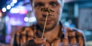 Cibi più strani del mondo