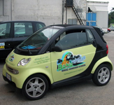 Decorazione autoadesivi per automezzi